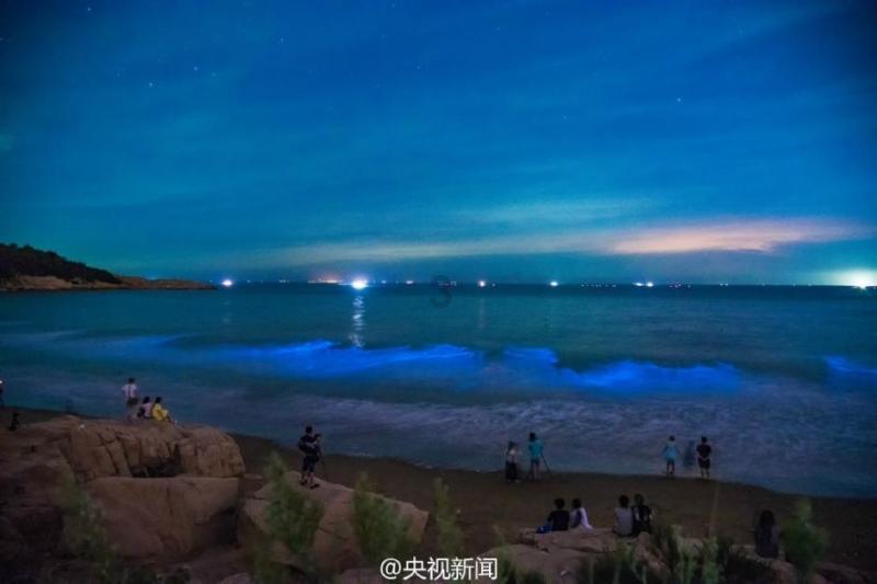 一图读懂海南省检察院工作报告