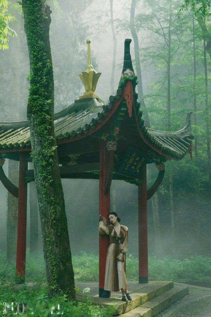 张宗昌的姨太太和自己副官幽会，被张堵在卧室，他的做法令人不解
