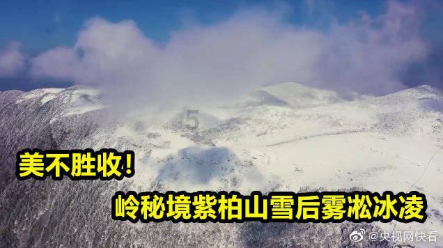 逃离沙地