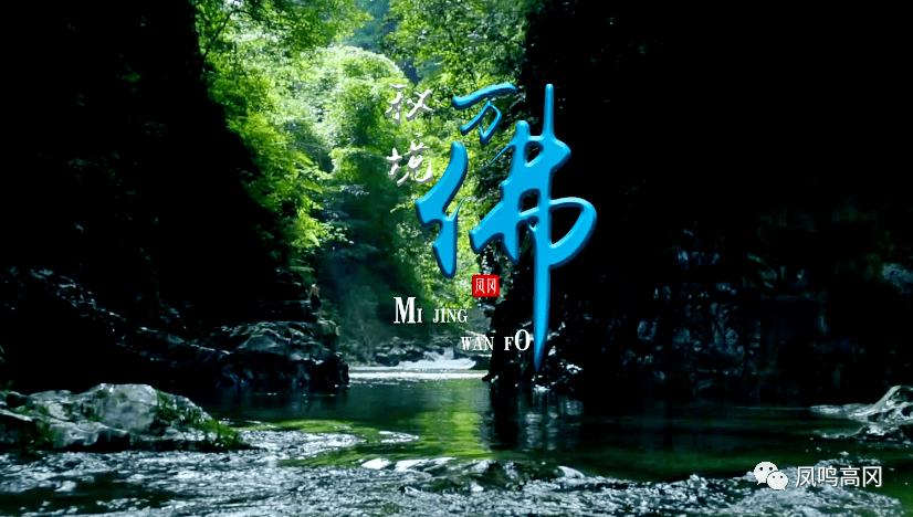 救援深海动物