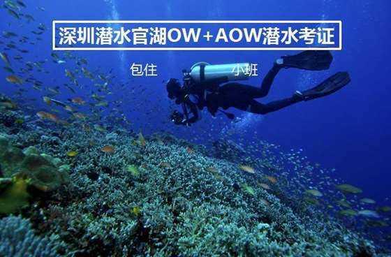 影视工厂