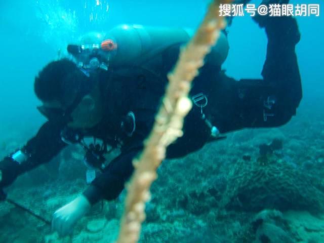 淹鸭蛋怎么淹好吃又流油?免费问好吗?-发现和分享有趣的话题