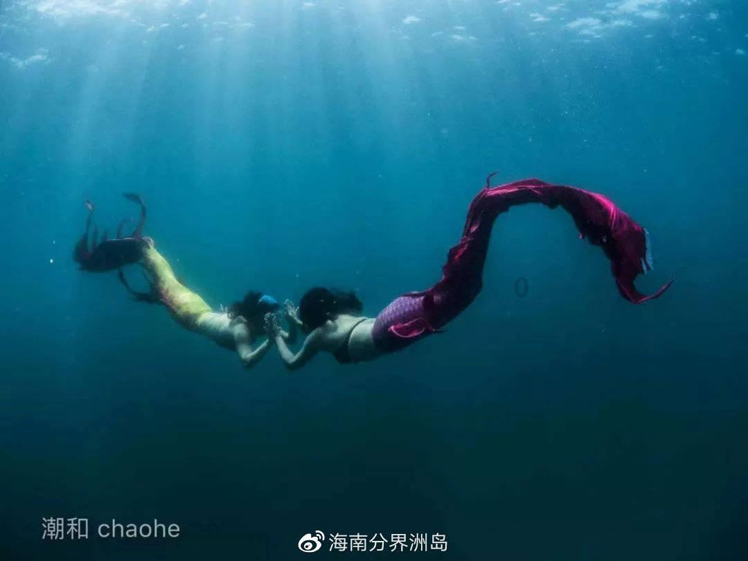 蝙蝠侠：阿甘骑士