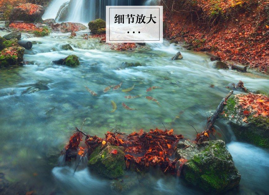 冠豪高新(600433.SH):拟约17.55亿元投资建设40万吨化机浆项目