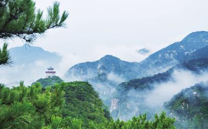 蜗牛寻新房7