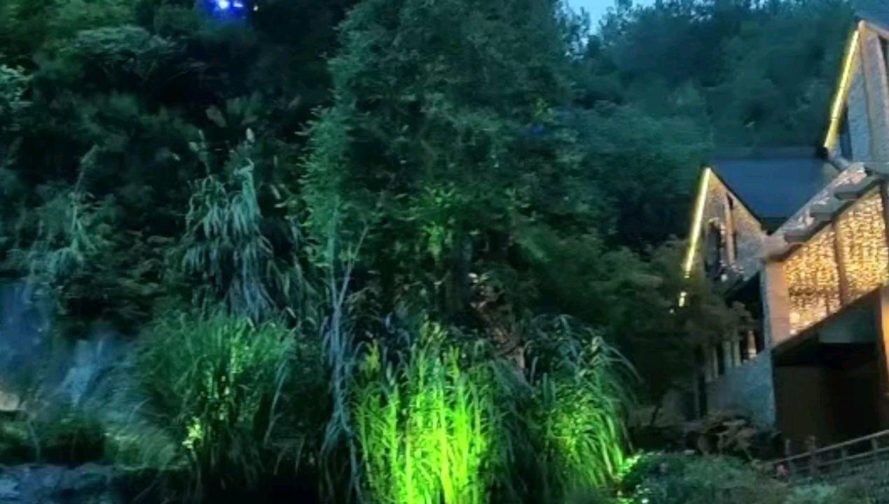 犀牛森林大逃生